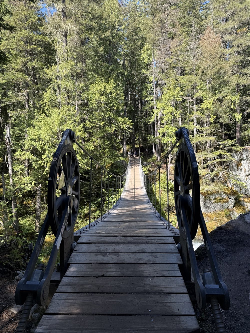 A wooden suspension bridge leading into a forest, Whistler